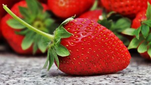 Neuveríte, aké hrôzostrašné malé stvorenia v sebe môže ukrývať miska jahôd!