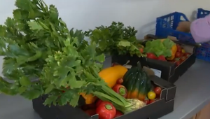 Máte problémy s pamäťou?: Skúste dodržiavať "diétu pre mozog"