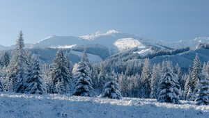 Na Slovensku zachytili kráľa Tatier: A ten pohľad!