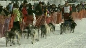 Na MS v Zuberci dve zlatá a dve striebra slovenských mašérov