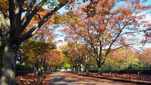 Zabudnite na Martina na bielom koni, dnes bude teplo