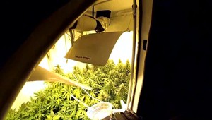 Rodina pestovala v dome marihuanu. Žili v ňom aj malé deti