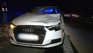 Dopravu prerušila nehoda: Zrážka s jeleňom zdemolovala auto