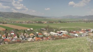 Svorka túlavých psov zaútočila na ovce a kozy