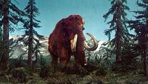 Za smrť mamutov môžu ľudia, tvrdí najnovšia štúdia