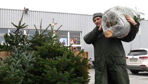 Vianočné nákupy na poslednú chvíľu: Zoženiete ešte stromček a kapra?