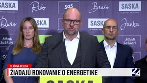 Tlačová beseda SaS o energetike