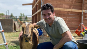 Miláčik miliónov tínedžeriek a žien jednej generácie sa oženil! Má to ale háčik...