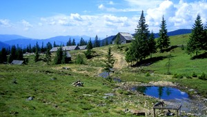Pavol (†63) skolaboval v lese. Miesto činu policajtov šokovalo