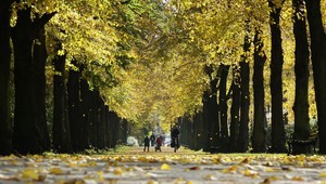 Máme za sebou mimoriadne leto. Podľa meteorologičky sme sa adaptovali nielen na vysoké teploty, ale aj na teplotné skoky