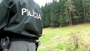 Pri Sabinove sa zrútilo lietadlo