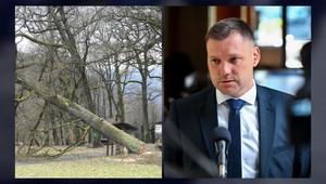 Výrub stromov by sa mal zjednodušiť. Návrh Tomáša Tarabu kritizujú aj samosprávy