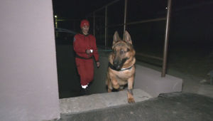 Polícia spustila pátraciu akciu. Muž odišiel z domu so slovami, že sa zabije