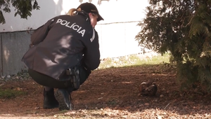 Pri zástavke sa našla lebka, polícia objasnila jej kuriózny pôvod