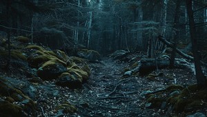 Turek hľadal v lese sám seba: Záchranári po ňom pátrali celé hodiny