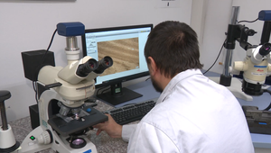 Od laboratória po výrobnú linku: Čo všetko sa testuje pred výrobou auta?