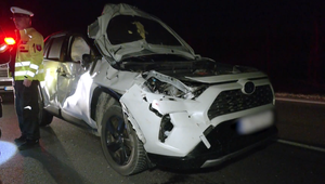 Na ceste pod Donovalmi zrazil vodič jeleňa, neosvetlený úsek spôsobuje problémy