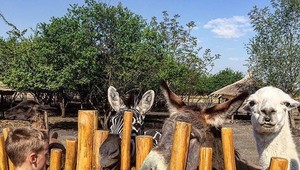 SERIÁl: Na cestách s Lajkitom. Tipy na výlet v Trnavskom kraji