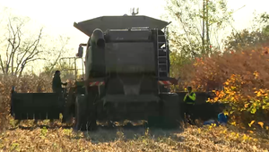 Nešťastná udalosť na poli. Ležiacu osobu zachytil kombajn