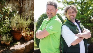 Zvyknú vám bylinky v lete vysychať? Tieto chyby robia často aj skúsení záhradkári!