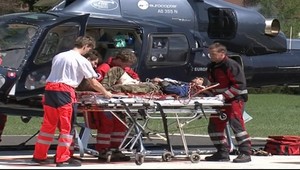 Medveď dohrýzol drevorubača!