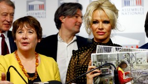 Pamela Anderson vyvolala rozruch v parlamente