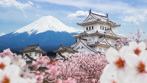 Do Japonska smerujú turisti z celého sveta: Obdivujú japonské čerešne Sakura