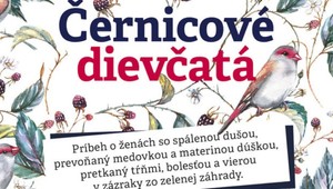 Otvorte zásuvku plnú tajomstiev: O silných, zranených, no múdrych ženách