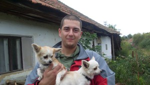 Hneď po adopcii z útulku sa stratila čivava