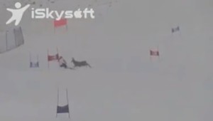 VIDEO: Zjazdára na svahu takmer "zostrelil" jeleň!