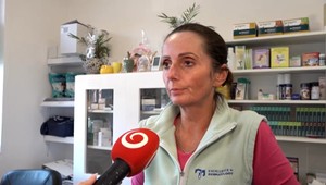 Parvoviróza: Pri akých prejavoch treba navštíviť veterinára a aká je liečba?