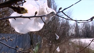 Rakúsko končí s plastovými taškami. Vláda schválila zákaz