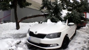 Hasiči zasahovali na sídlisku. Spod padnutého stromu vyťahovali auto