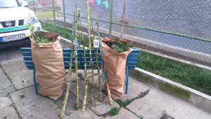 Na strednom Slovensku prebehla razia. Policajti našli 9 vriec marihuany