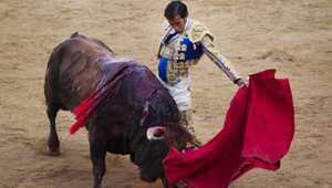 ŠOKUJÚCE VIDEO: Býk prepichol toreadorovi tvár!