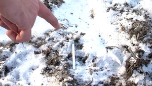 Mužovi za brutálnu vraždu otca potvrdil najvyšší súd 25-ročný trest