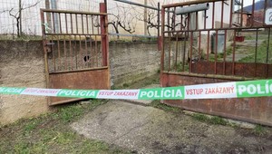 Muž, ktorý mal v Hajnáčke zabiť dôchodcu dreveným kolom, ostáva vo väzbe