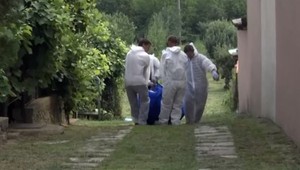 Africký mor ošípaných sa rozšíril do druhého okresu