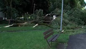 FOTO: Humenné spustošila ničivá veterná smršť. Toto všetko živel napáchal
