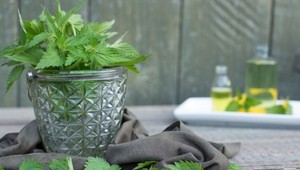 Najúčinnejší prírodný TIP na krásne vlasy: Zelený zázrak ich zbaví lupín, mastnoty aj vypadávania