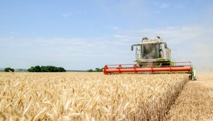 Na východe Slovenska sa ľudia cítia ako na púšti, suchá sú rekordné