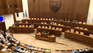 Návrh SNS o politických stranách je pascou pre mladých ľudí