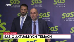 Tlačová beseda SaS o aktuálnych témach