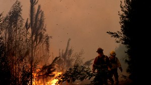 Lesné požiare v Čile si vyžiadali už najmenej 23 mŕtvych a takmer 1 000 zranených