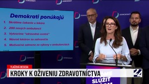 Tlačová beseda strany Demokrati o zdravotníctve