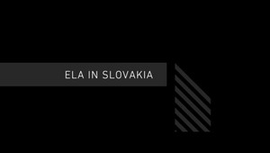 Na Slovensku má sídliť európska agentúra ELA. Rozhodnutie na súdnom dvore únie ale napadol europarlament