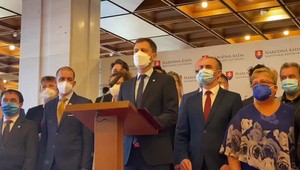 Heger: Túto mimoriadnu schôdzu vyvolal strach Roberta Fica a Petra Pellegriniho