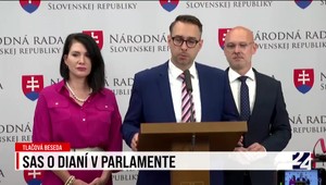 Tlačová beseda strany SaS o dianí v parlamente