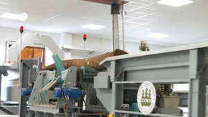 Národné lesnícke centrum dostalo 15-miliónový grant na štúdium stromov cez CT technológiu