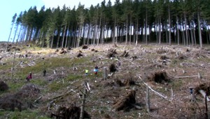 Zelenšie Nízke Tatry: Ľudia zo všetkých kútov Slovenska priniesli horám nový život